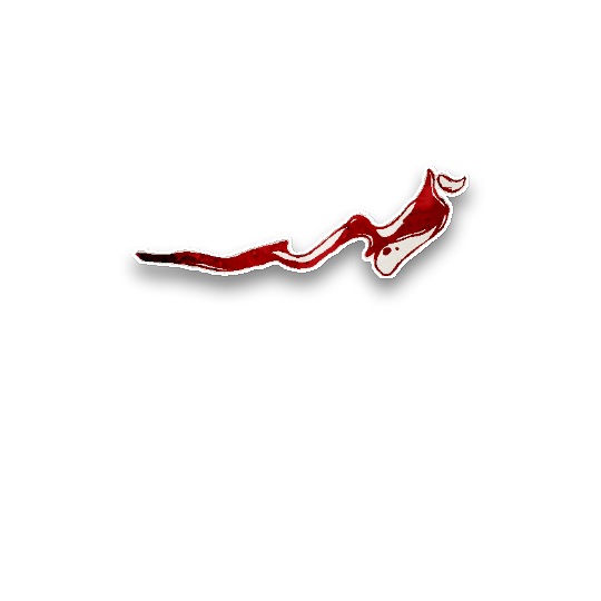Hwisp