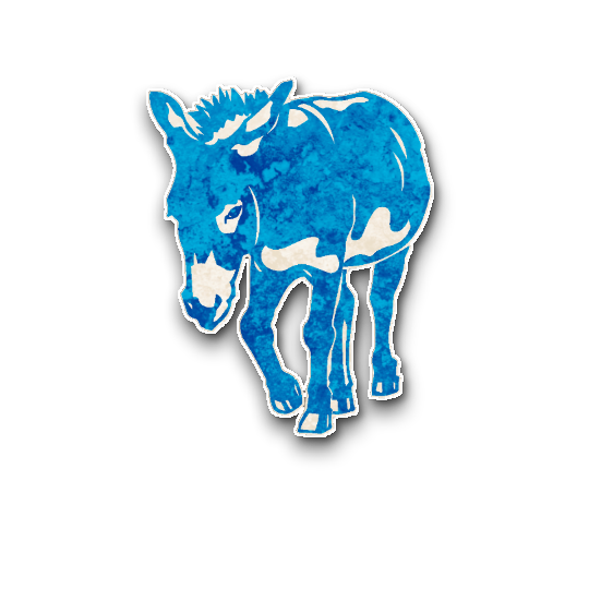 Donkey Wrangler